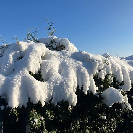 Ferien Am Hofe Διαμέρισμα Hainewalde Εξωτερικό φωτογραφία